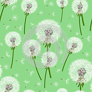 Green seamless background with dandelion blowing