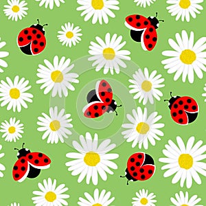 Green seamless pattern background of daisy flowers with ladybirds