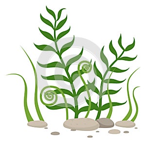 Green seaweed icon. Cartoon underwater plant growing