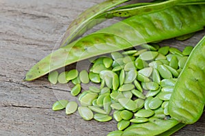 Green Seed White Popinac