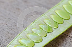 Green Seed White Popinac