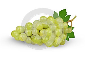 Green Seedless grape isolated. Grapes on white. With clipping path. Full depth of field