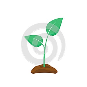 Green Seedling silhouette. Plant nurturing. Vector illustration