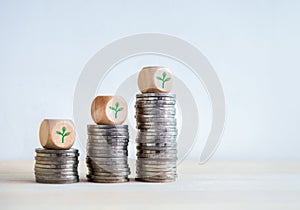 Green seedlings icons on wooden cube blocks on business coin stack growth graph steps on white background.