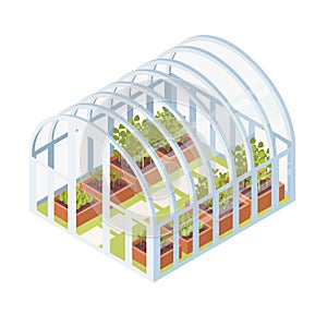 Green seedlings, sprouts or plants growing inside glass greenhouse. Isometric dome glasshouse with garden beds for home
