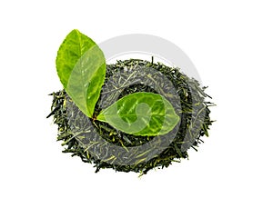 Green sencha tea with tea leaves isolated on white