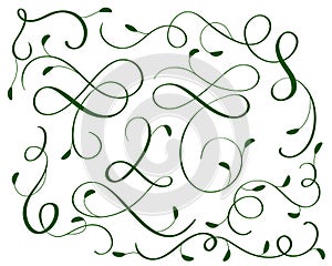 Green set of vintage flourish decorative art calligraphy whorls for design. Vector illustration EPS10
