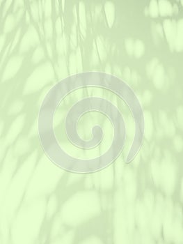 Green Shadow Background Light Overlay Leaf Nature on blur Texture Cement Marble, Light Abstract Plant Lime Color Summer Tropical