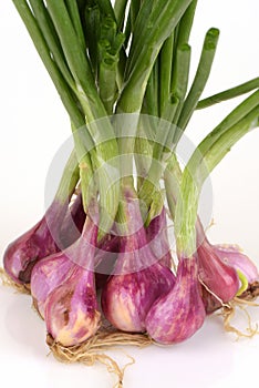 Green Shallot vegetable.