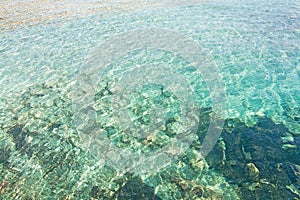 Green shallow sea water background texture