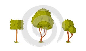Green Shaped Bush with Lush Foliage as Park Zone Element Vector Illustration Set