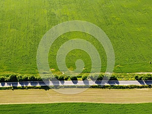 green sheared summer field aerial photo