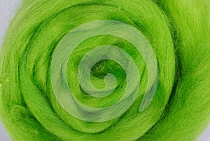 Green sheep wool background texture