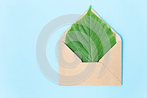 Green sheet of linden in an envelope from kraft paper on a sky blue background. Eco-friendly, recycled. Caring for nature. Mail me