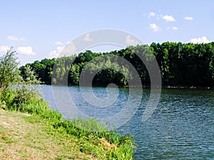 Green shore of the large lake