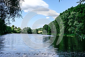 Green shore of the large lake