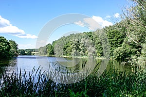 Green shore of the large lake