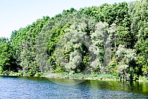 Green shore of the large lake