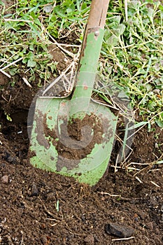 Green shovel