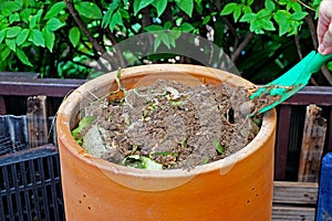 Green Shovel preparing organic fertilizer to home made compost bin in the garden with food leftover leaves stock photo copy space