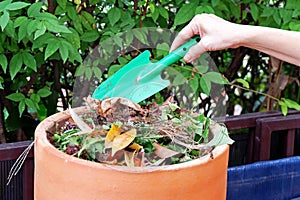 Green Shovel preparing organic fertilizer to home made compost bin in the garden with food leftover leaves stock photo copy space