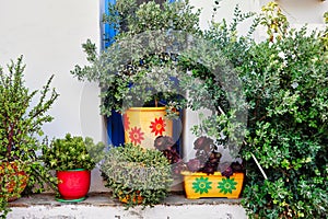 Green Shrubs in Colorful Potts, White House, Greece