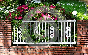 A green sight of the park