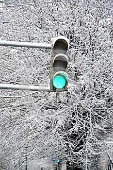 Green signal of the traffic light against the background of snow-covered trees