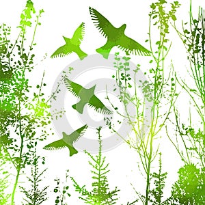 Green silhouette of trees with flying birds. Vector illustration