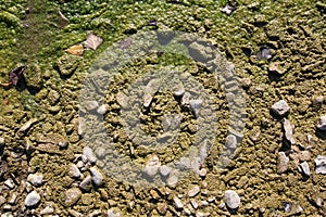 Green silty rocks