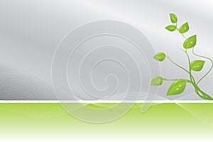 Green and silver background