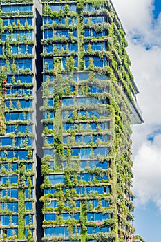 Green skyscraper with hydroponic plants on the facade, Sydney, Australia.