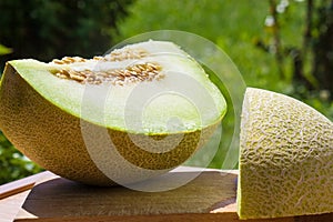 Green Sliced Cantaloupe photo