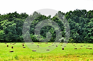 Green sloping field and the sheaves of hay