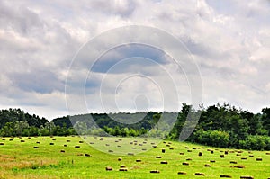 Green sloping field and the sheaves of hay