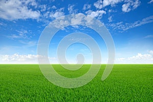 Green sloping meadows with blue sky