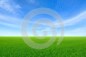 Green sloping meadows with blue sky