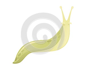 Green slug cartoon animal design flat vector illustration isolated on white background