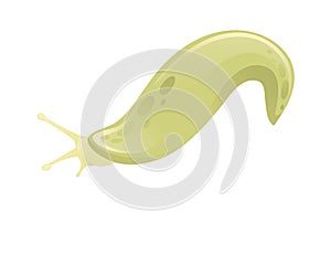 Green slug cartoon animal design flat vector illustration isolated on white background