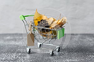 Green small toy shopping cart with birch leaves, cone on a concrete wall background. Price label note with rope for text. Autumn