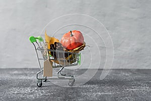 Green small toy shopping cart with birch leaves, cone and pumpkin on a concrete wall background. Price label note with rope for