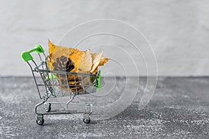 Green small toy shopping cart with leaves, cone on a concrete wall background. Autumn Concept.