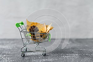 Green small toy shopping cart with leaves, cone on a concrete wall background. Autumn Concept.