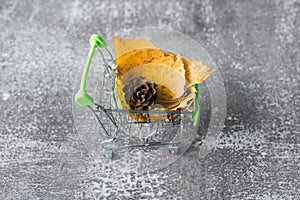 Green small toy shopping cart with leaves, cone on a concrete wall background. Autumn Concept.