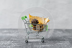 Green small toy shopping cart with leaves, cone on a concrete wall background. Autumn Concept.