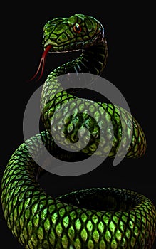 Green snake on dark black background with clipping path.