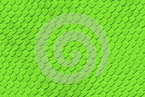Green Snake skin pattern