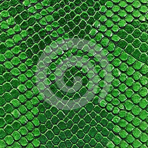 Green snake skin texture. Reptile and serpent scales surface. Graphic resource and background.