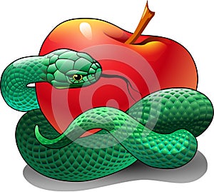 A green snake is wrapped around a red apple