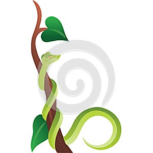 The green snake wreathe on tree colorful vector illustration